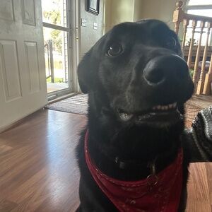 Meet your Posher, Kenyon